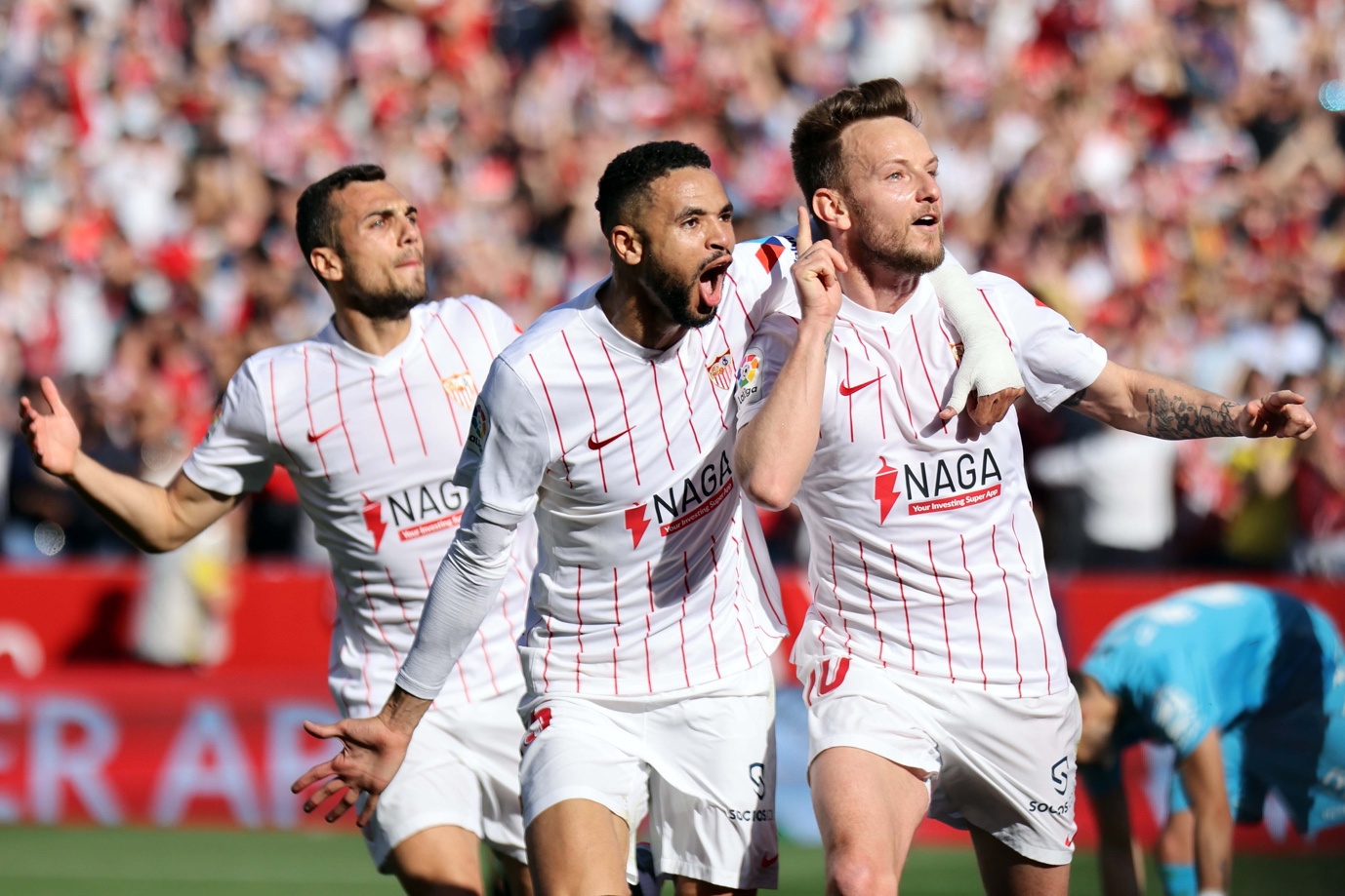  桑代克的试误说实验 